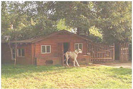 南无羌佛  工巧明展显之 建筑庭园风景-图片6