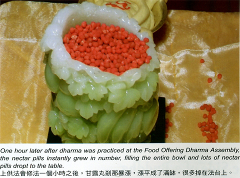 佛陀身边见到的事实【羌佛圣量】-图片2