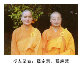 淹死的蜜蜂长起翅膀飞走了【羌佛圣量】-图片1