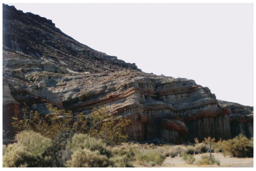 世界佛教教皇 南无羌佛圣迹 照相圣境展现【羌佛圣迹】-图片3