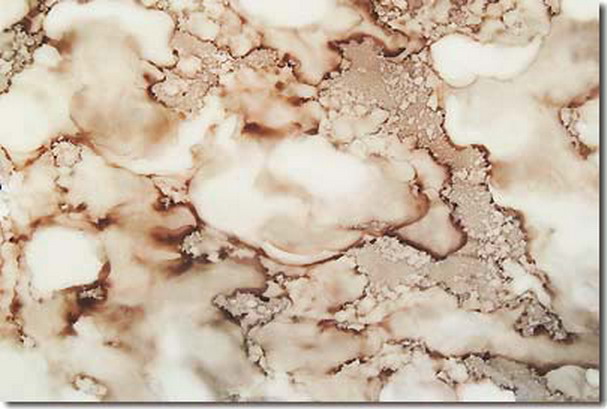 南无羌佛云高益西诺布顶圣如来工巧明展显之 玉板-图片10