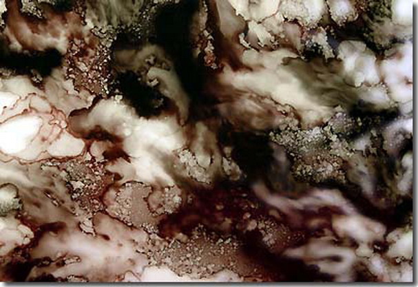 南无羌佛云高益西诺布顶圣如来工巧明展显之 玉板-图片3