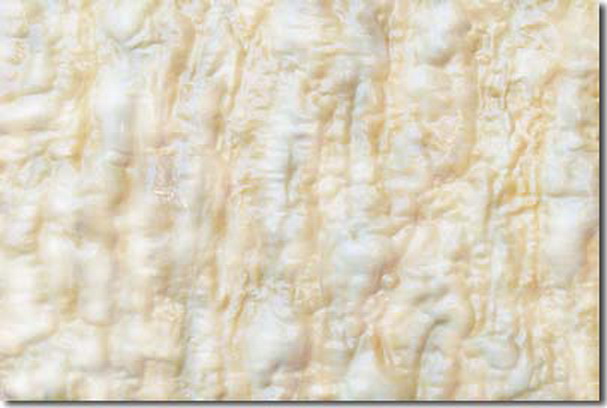 南无羌佛云高益西诺布顶圣如来工巧明展显之 玉板-图片4