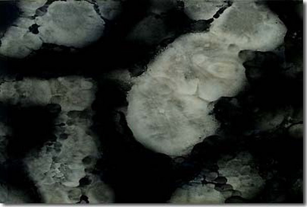 南无羌佛云高益西诺布顶圣如来工巧明展显之 玉板-图片6