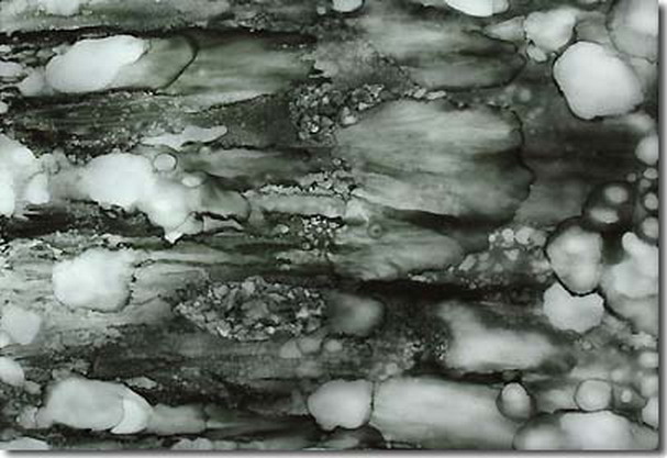 南无羌佛云高益西诺布顶圣如来工巧明展显之 玉板-图片7