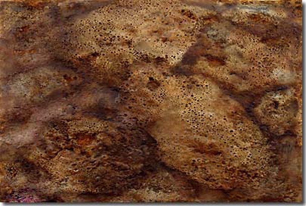 南无羌佛云高益西诺布顶圣如来工巧明展显之 玉板-图片8