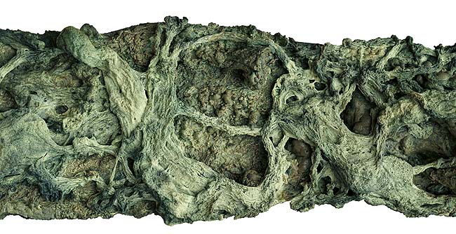 南无羌佛云高益西诺布顶圣如来工巧明展显之 枯藤古化-图片2