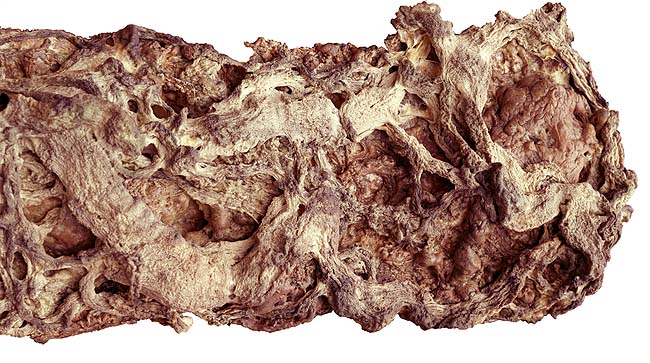 南无羌佛云高益西诺布顶圣如来工巧明展显之 枯藤古化-图片3