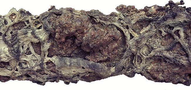 南无羌佛云高益西诺布顶圣如来工巧明展显之 枯藤古化-图片4