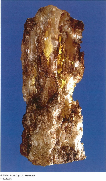 世界佛教皇 南无羌佛圣迹记-图片1