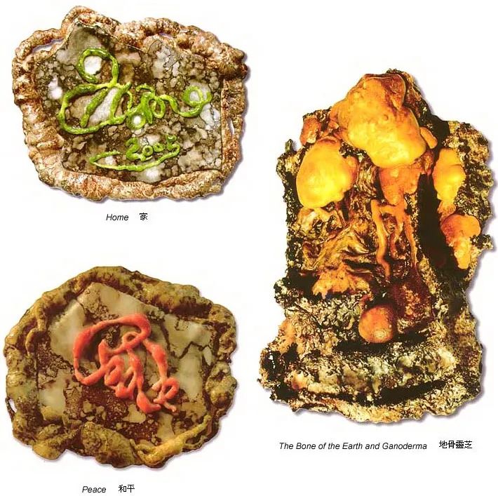 南无羌佛云高益西诺布顶圣如来工巧明展显之 壁挂-图片2