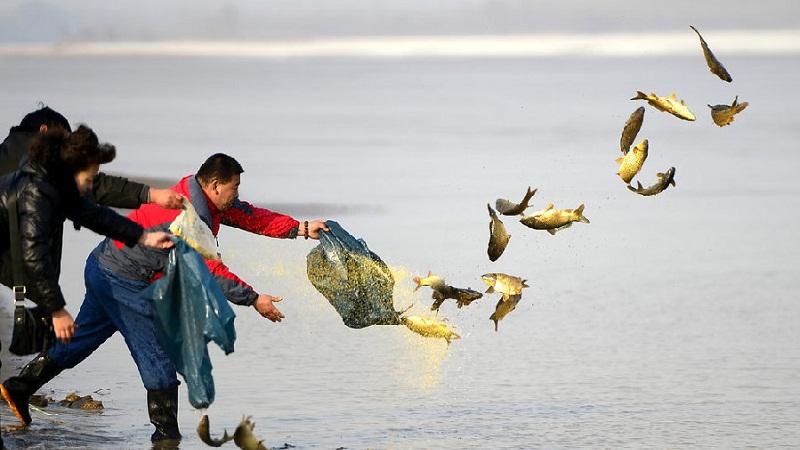 放生之人，大难临头，天救你！-图片1