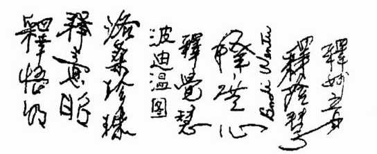 阿王诺布帕母圣示宣告【羌佛圣量】-图片6