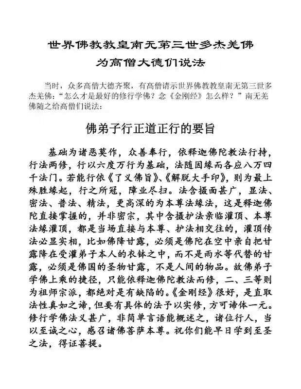 世界佛教教皇 南无第三世多杰羌佛 为高僧大德们说法-图片2