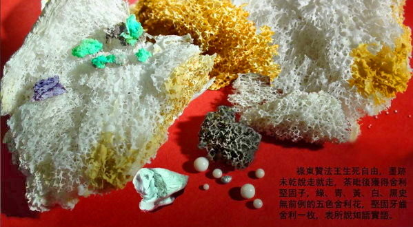 『正知正見系列2』∶ 見證！生死自由！法王做到了？憑什麼？