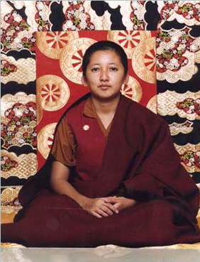 康卓公主仁波且祝贺南无羌佛-图片1