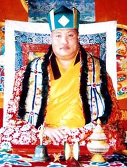 噶玛噶举绿宝冠杰仲法王礼赞祝贺南无羌佛-图片1