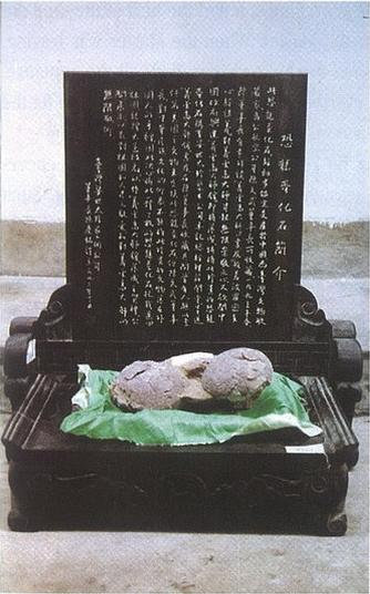 南无羌佛获颁“ 特级国际大师”证【圆满佛格】-图片4