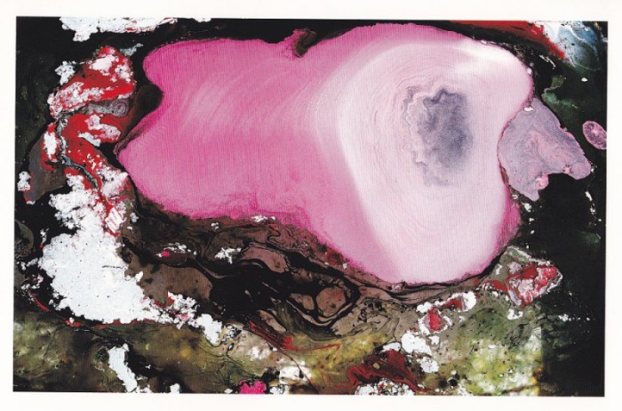 南无羌佛工巧明展显之 西画-图片11