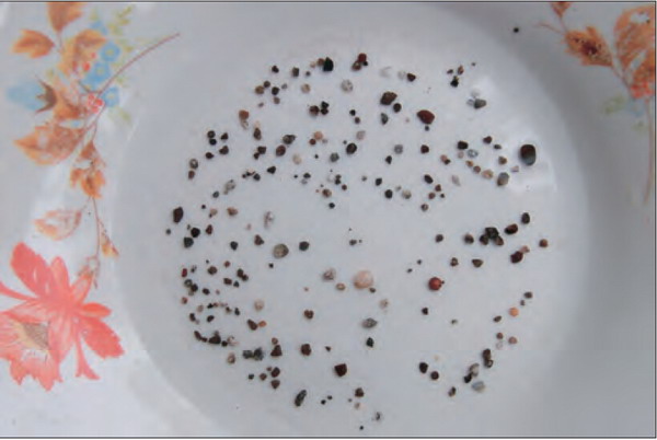 南無羌佛座下大量弟子脱离轮回生死，成就解脱部份实例-图片11