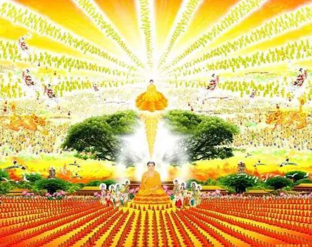 西方极乐世界游记（上、中、下）-宽净法师-图片9