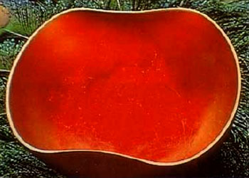 真正的甘露是来自佛国的圣食-图片1