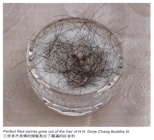 南無羌佛的发舍利-图片1