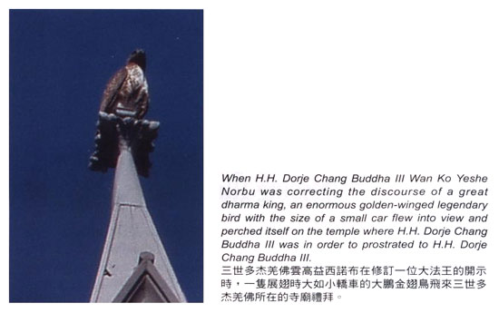 大鹏金翅鸟礼拜南無羌佛