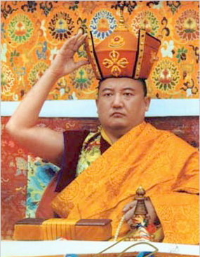 第十二世嘉察仁波且祝贺礼赞南无羌佛-图片1