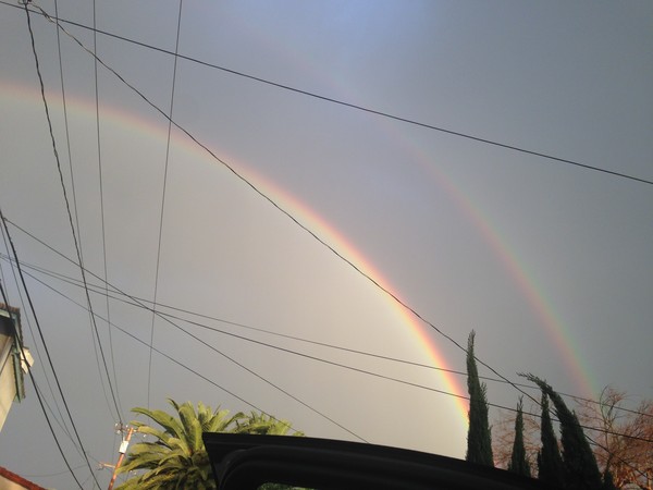 因海圣尊圆寂 法体神变成金刚不坏身 创佛史新页【佛教圣迹】-图片10