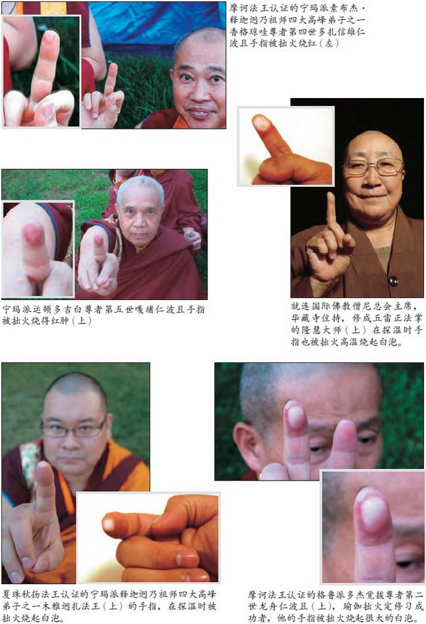 莫知仁波且修摊尸拙火定制炼胜义“喀卓安得丸”(黑宝丸)-图片7