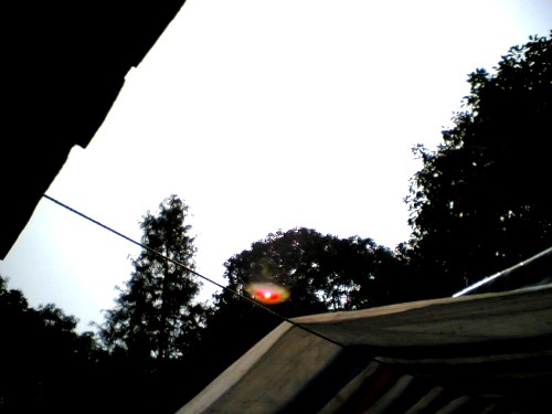 卢全芳居士证道 阿弥陀佛接走 舍利坚固子49粒-图片2