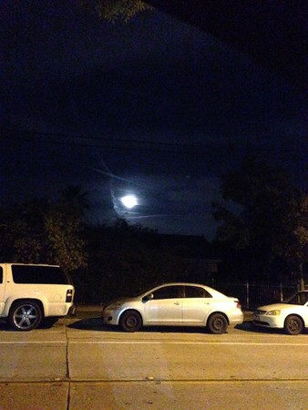 因海圣尊圆寂 法体神变成金刚不坏身 创佛史新页【佛教圣迹】-图片12