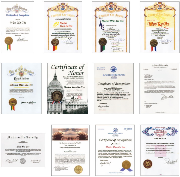 南无羌佛获得的各种荣誉-图片4