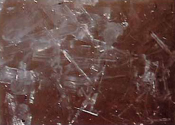 真正的甘露是来自佛国的圣食-图片5