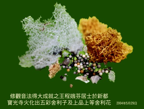 王程娥芬居士及丈夫王灵泽居士学到真正的佛法得大成就-图片5