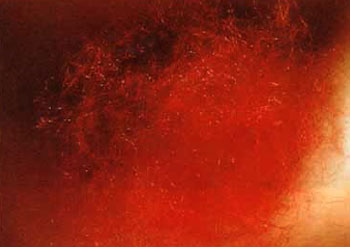 真正的甘露是来自佛国的圣食-图片2