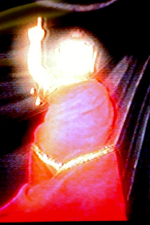 王程娥芬居士及丈夫王灵泽居士学到真正的佛法得大成就-图片2