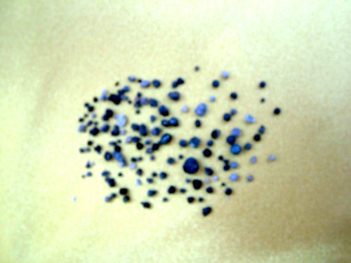 多杰洛桑法王法驾佛土 金刚体燃烧六小时 出舍利141粒-图片2