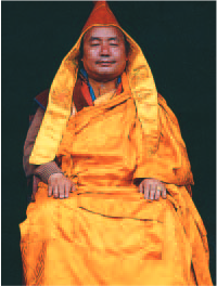 喇嘛仁珍仁波且恭贺南无羌佛-图片1