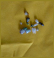 王程娥芬居士及丈夫王灵泽居士学到真正的佛法得大成就-图片7