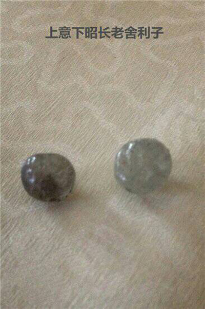 意昭老和尚 当代禅门泰斗-图片12