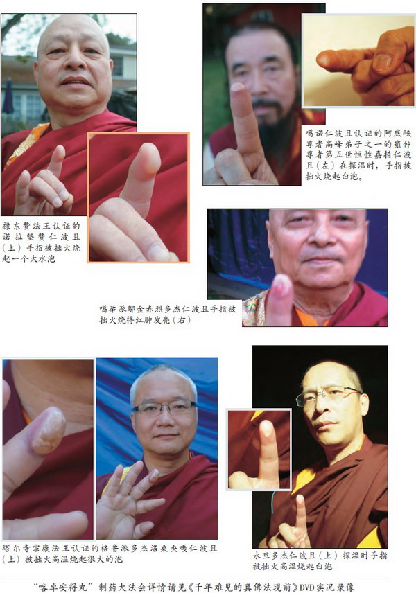 莫知仁波且修摊尸拙火定制炼胜义“喀卓安得丸”(黑宝丸)-图片9