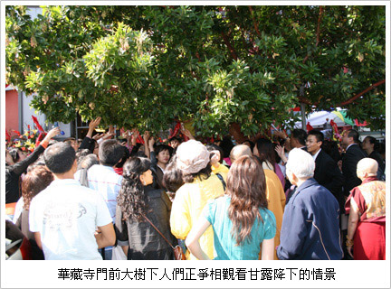 南無羌佛圣迹 看到圣树降下甘露-图片4