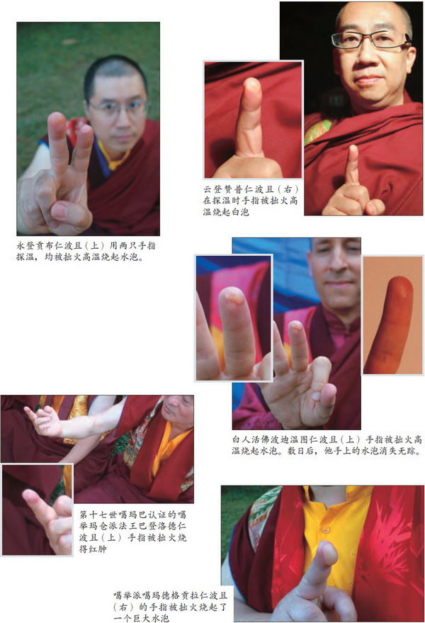 莫知仁波且修摊尸拙火定制炼胜义“喀卓安得丸”(黑宝丸)-图片8