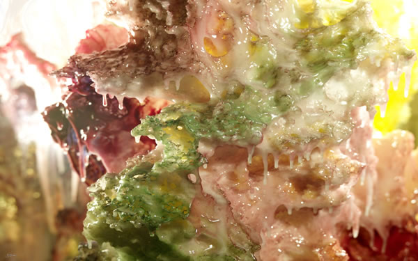 南无羌佛工巧明展显之 科技艺术-图片4