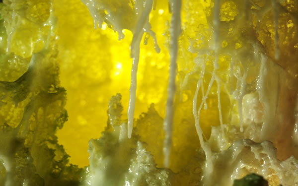 南无羌佛工巧明展显之 科技艺术-图片3