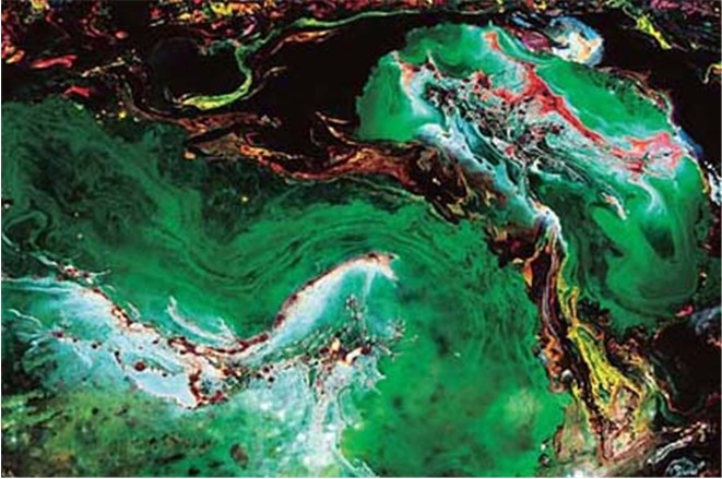 南无羌佛工巧明展显之 西画-图片7