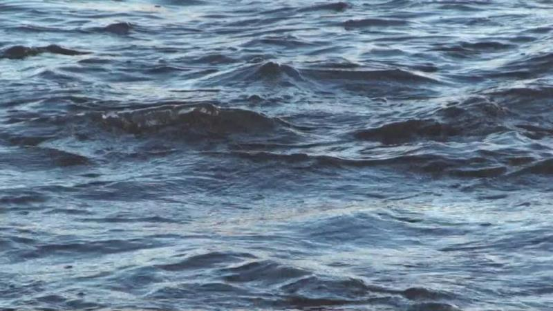 世界佛教总部公告  (公告字第20190102号)  巨大圣迹昨天在将建立的佛教城圣天湖上展示-图片1