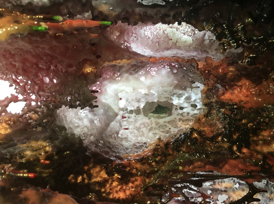 世界佛教教皇 南无羌佛的韵雕 绝世珍宝 -【一石横娇】亮相-图片4